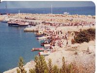 TheMole3_1981-84.jpg