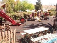 playground.jpg