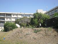 tpmh11.jpg