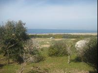 tpmh_golf_course2.jpg