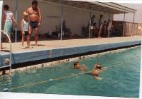 buttons_bay_pool3.jpg