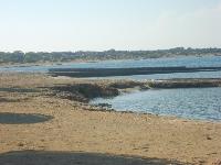 buttonsbay2.jpg