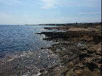 buttonsbay7.jpg