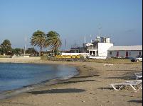 beached2.jpg