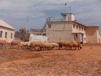 sailing_club8.jpg