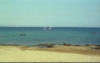 sailing_club_beach.jpg