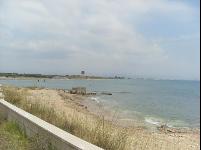 beach2.jpg