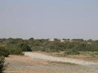 bondu11.jpg