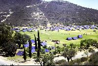 Cyp 74 - 13.JPG