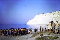 Bay to Bay Swim 1972.jpg