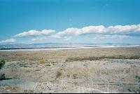 salt_lake2.jpg
