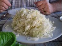 shredded_cabbage2.jpg