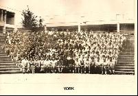 york_1978.jpg
