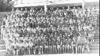 york_1981.jpg