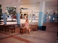benches5_2015.jpg