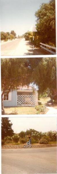 AlbionStreet_1980.jpg