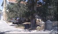 13_Manning_Ave.jpg