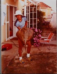 Side_23_Queen_Street_Steve2.JPG