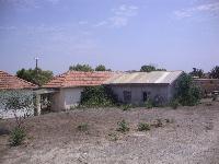 unknown5.jpg