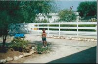 unknown3.jpg