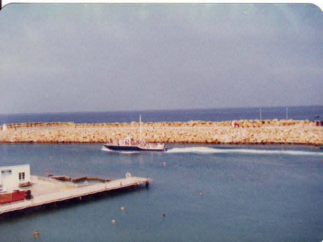 TheMole4_1981-84.jpg