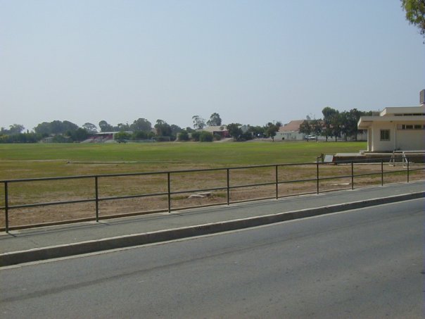 SportsField.jpg