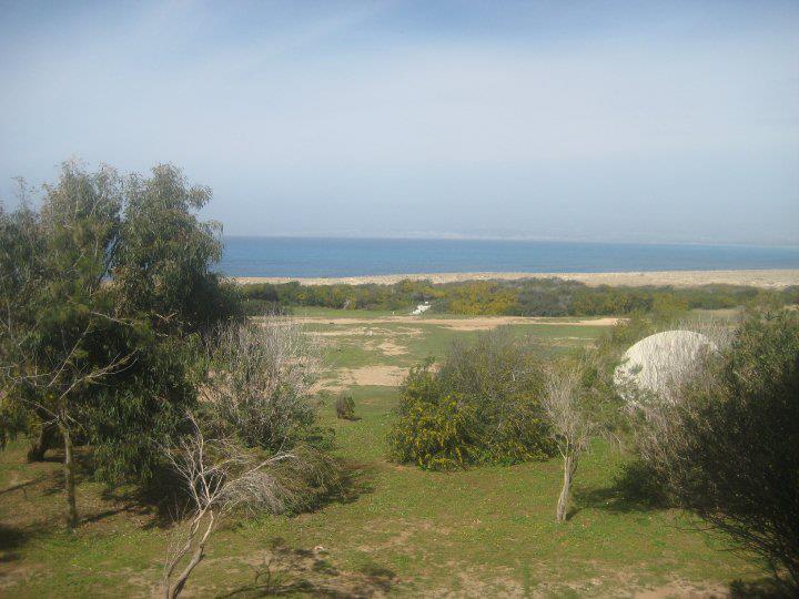 tpmh_golf_course2.jpg