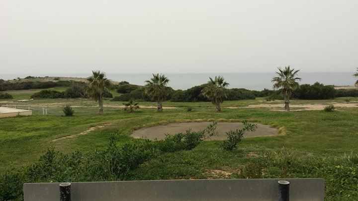 tpmh_golf_course6.jpg