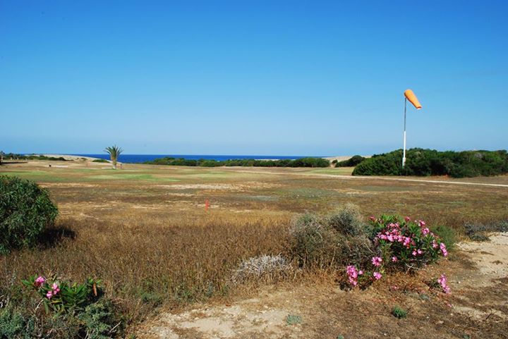 tpmh_golf_course9.jpg