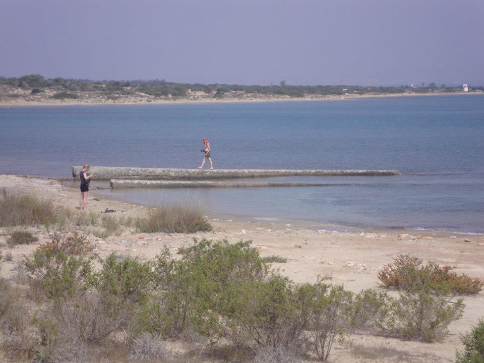 buttonsbay5.jpg