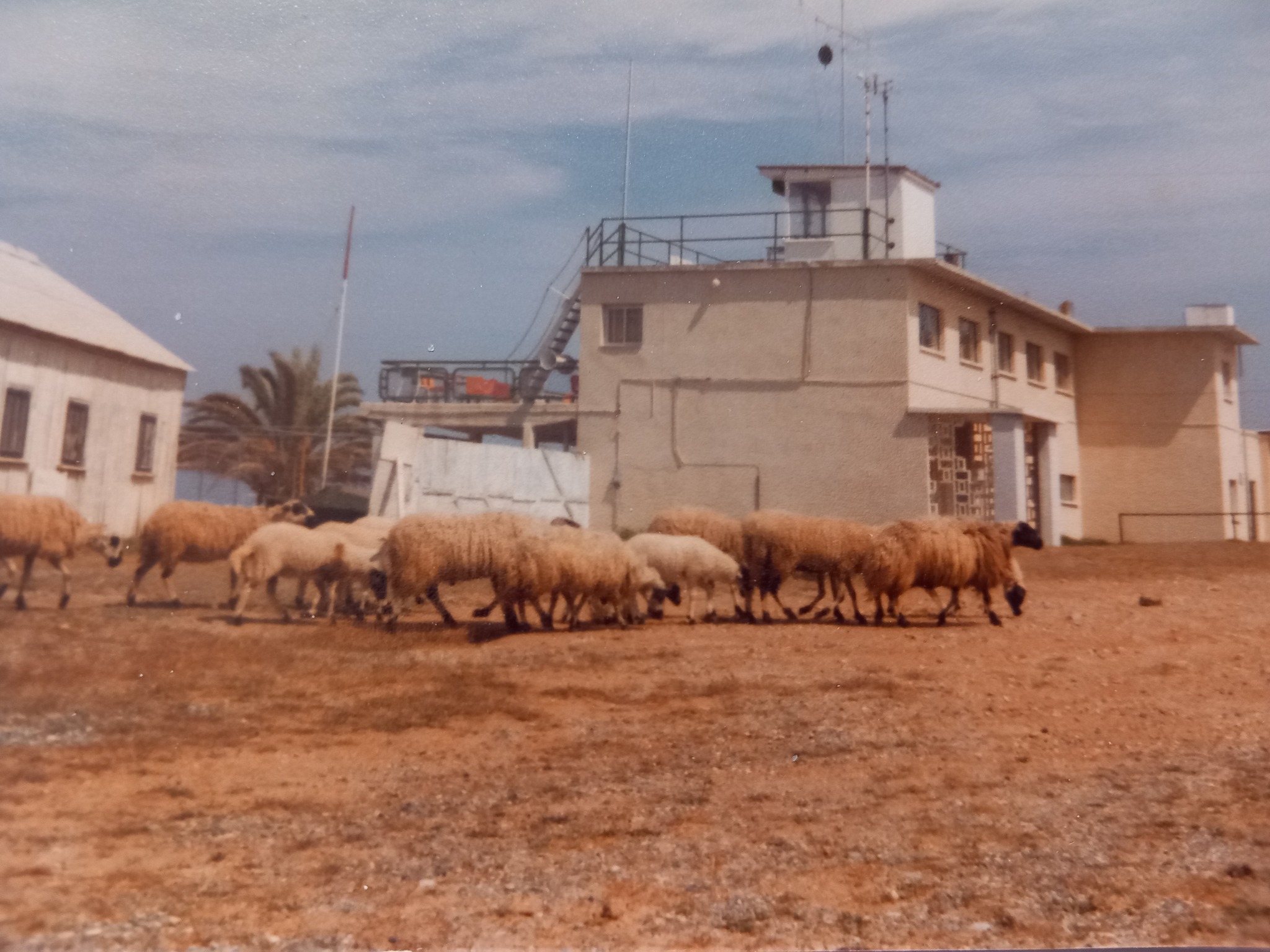 sailing_club8.jpg