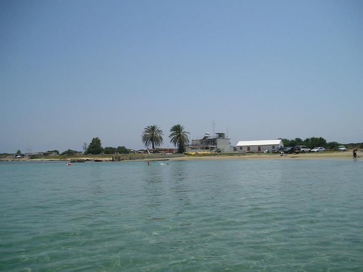 salingclub8.jpg