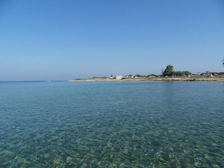 waterskiclub32.jpg